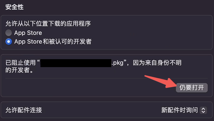 在“隐私与安全性”中允许应用